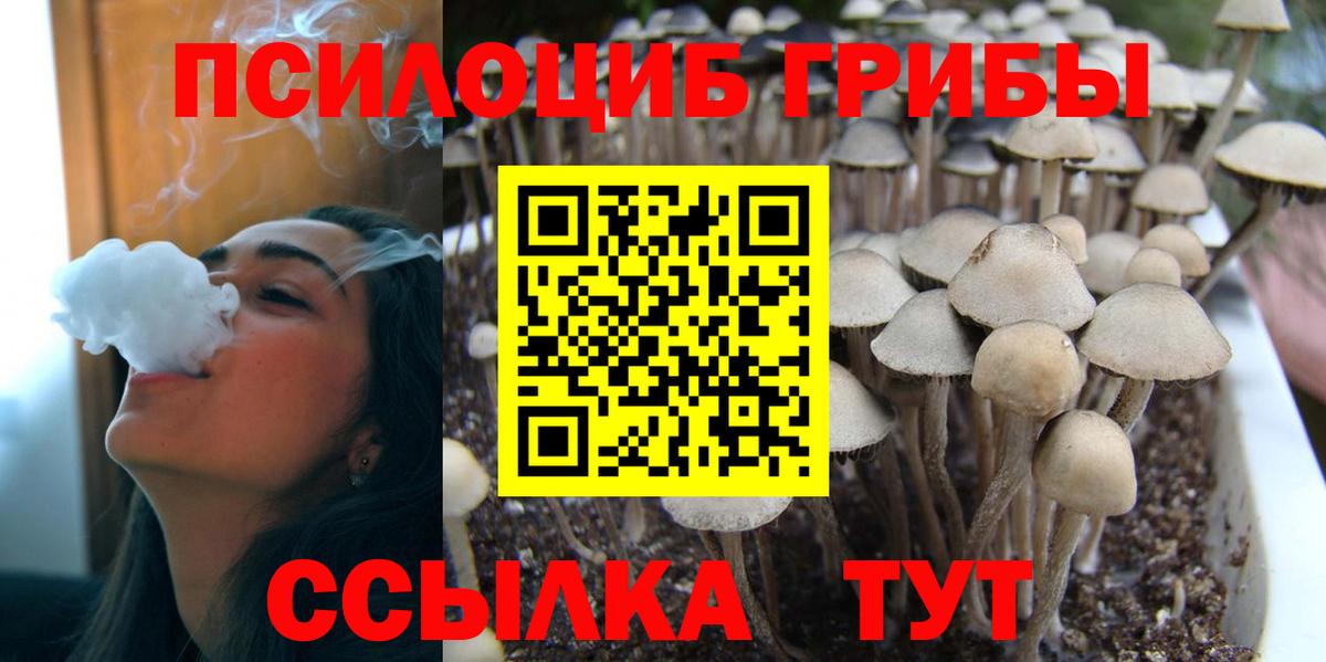 Галлюциногенные грибы мицелий  Вход с VPN  Тосно 