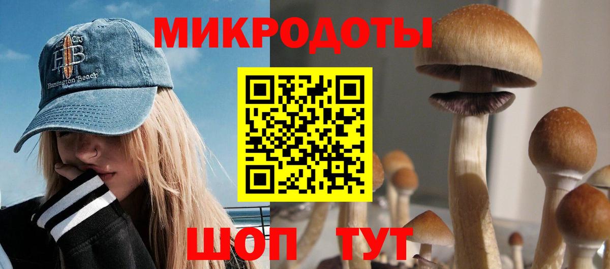 Псилоцибиновые грибы Magic Shrooms Тосно