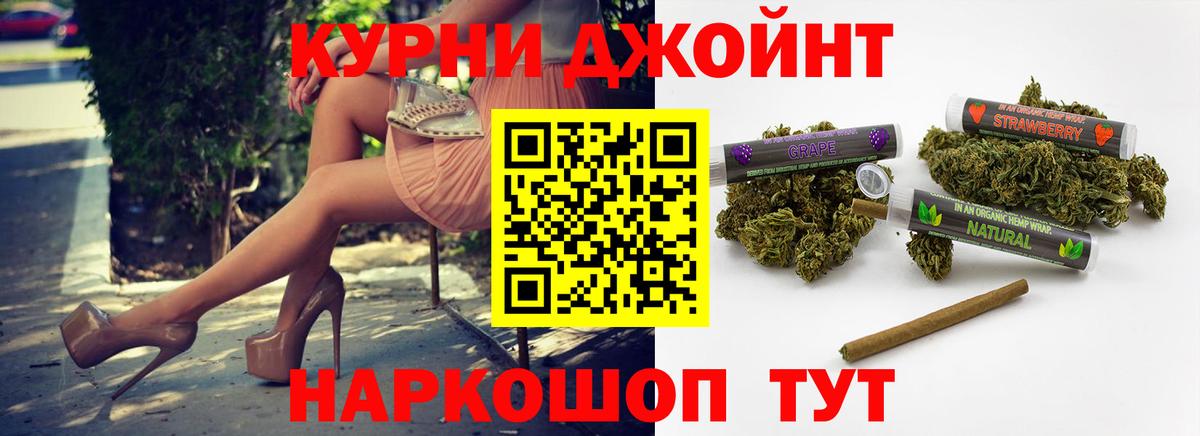 Конопля конопля Тосно
